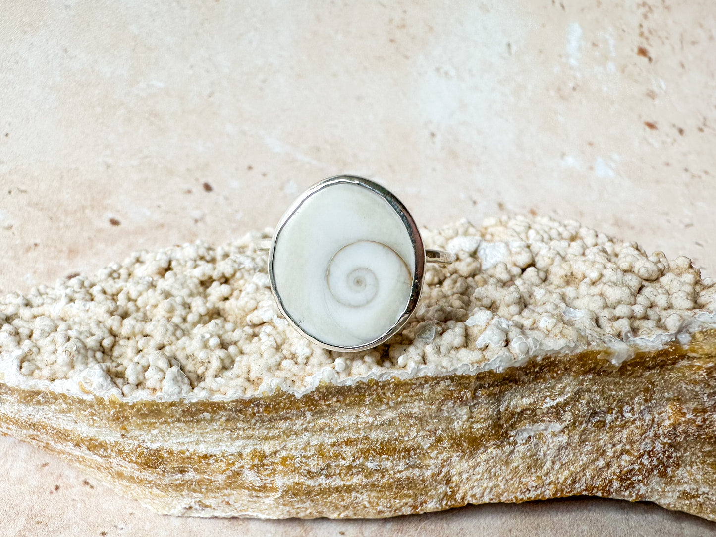 Shiva eye sea shell ring, size R 1/2