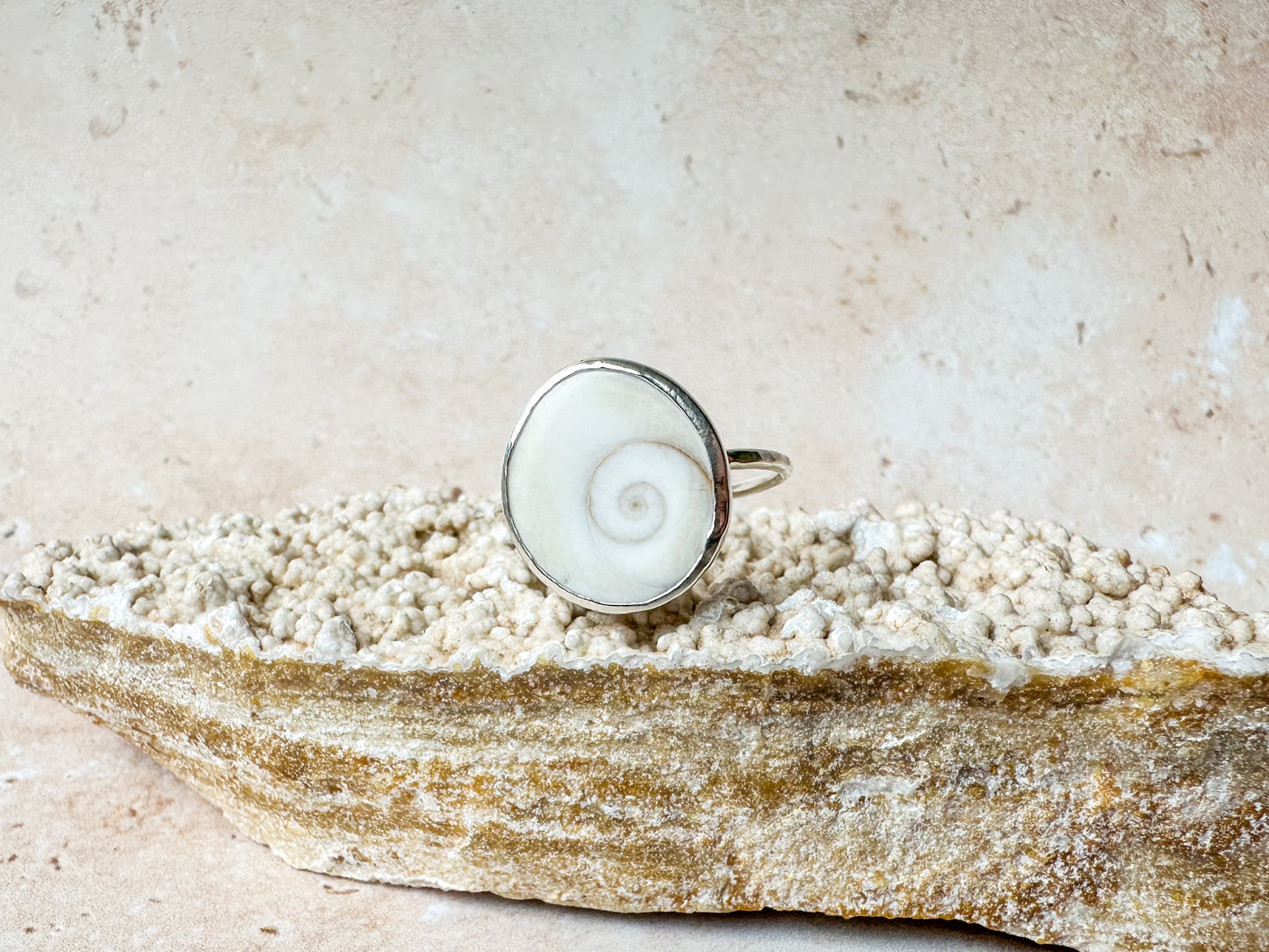Shiva eye sea shell ring, size R 1/2