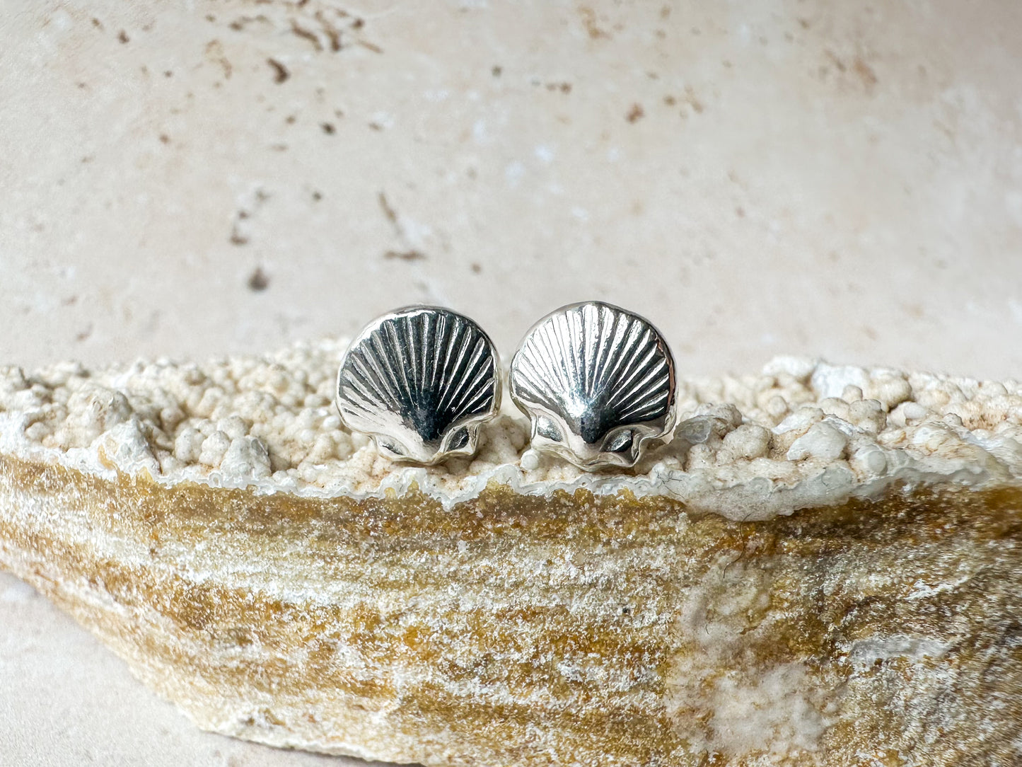 Silver sea shell earring studs