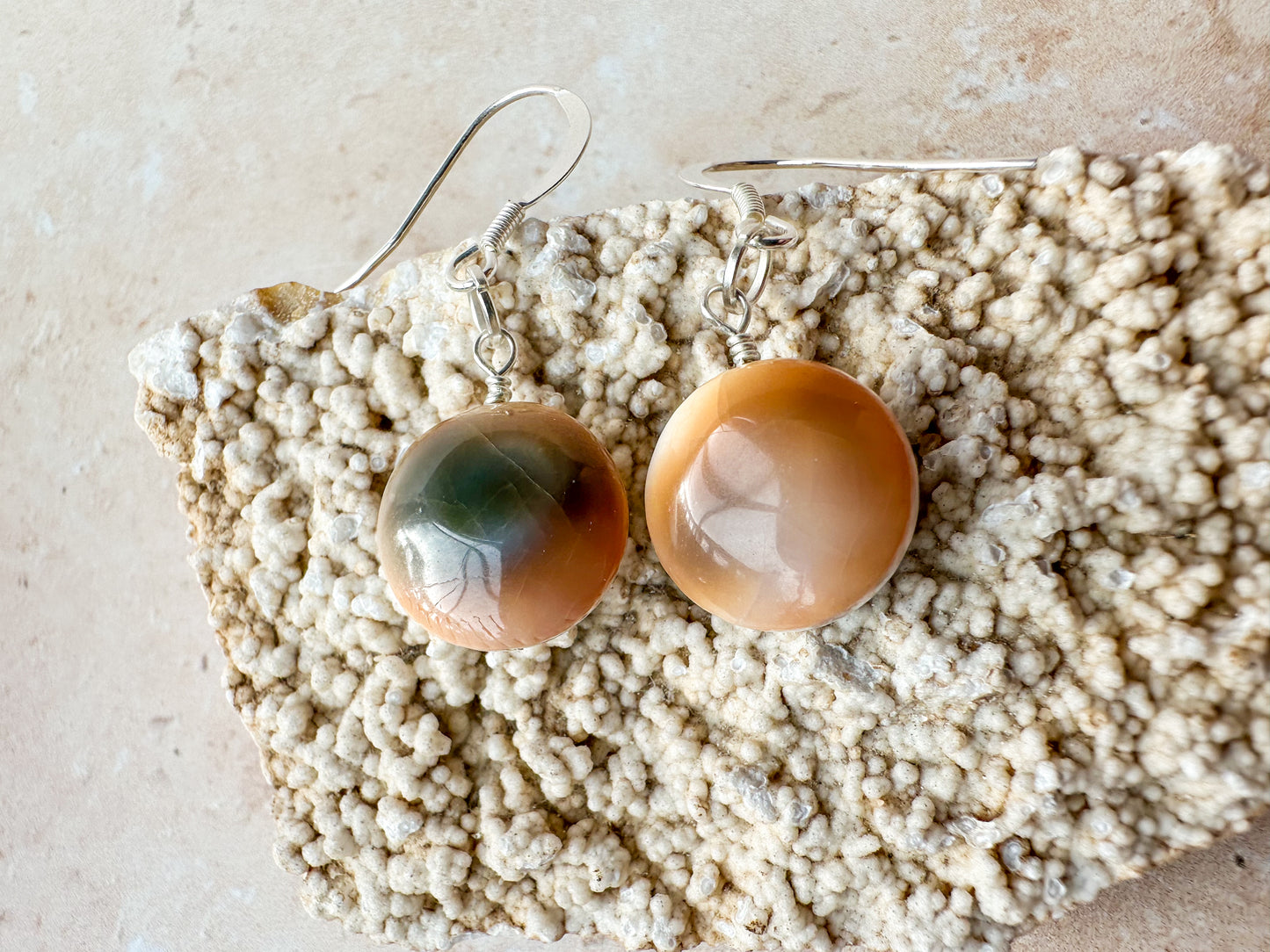 Shiva eye shell earrings