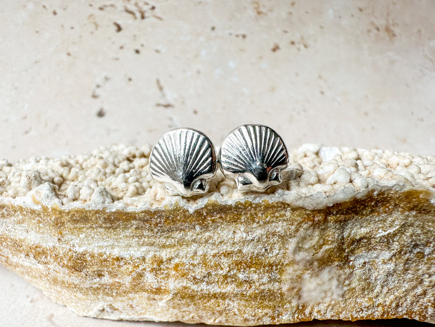 Silver sea shell earring studs