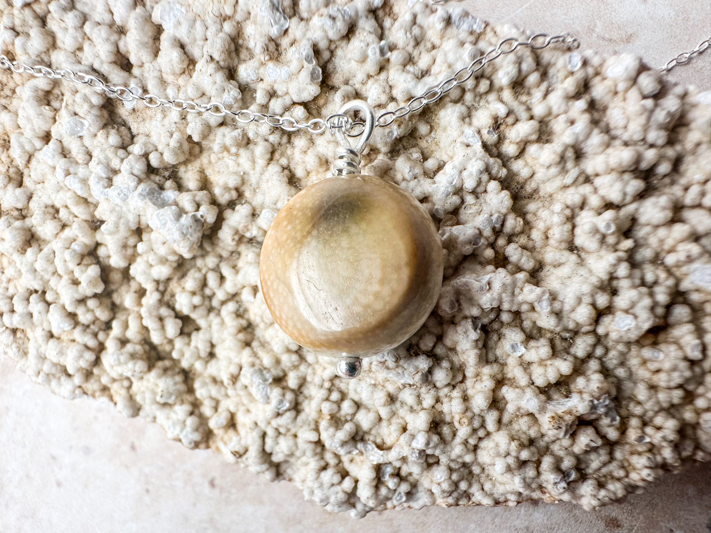 Shiva eye shell pendant (with or without chain)