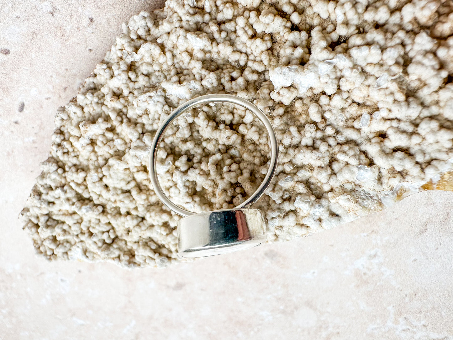 Shiva eye sea shell ring, size R 1/2