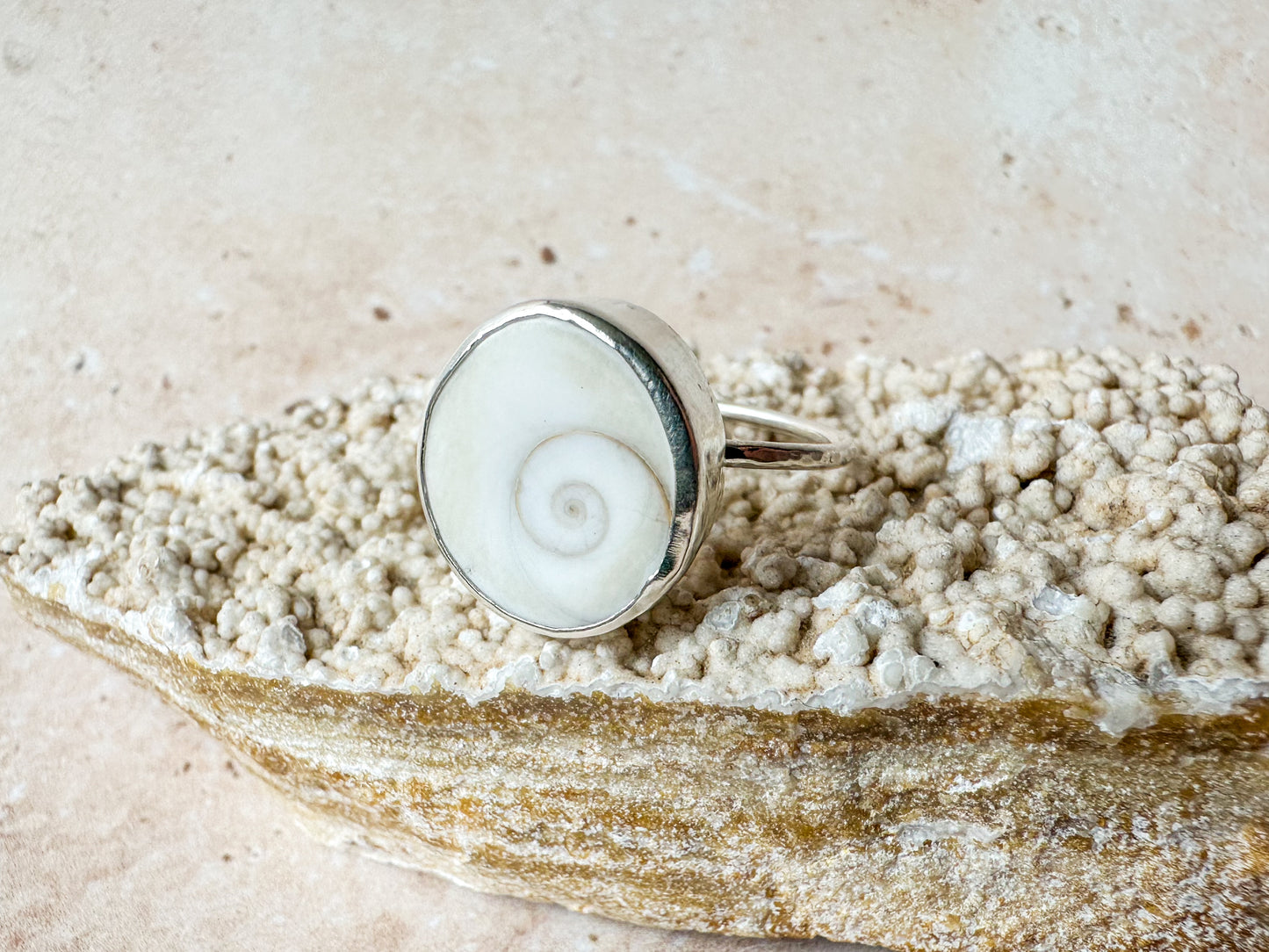 Shiva eye sea shell ring, size R 1/2
