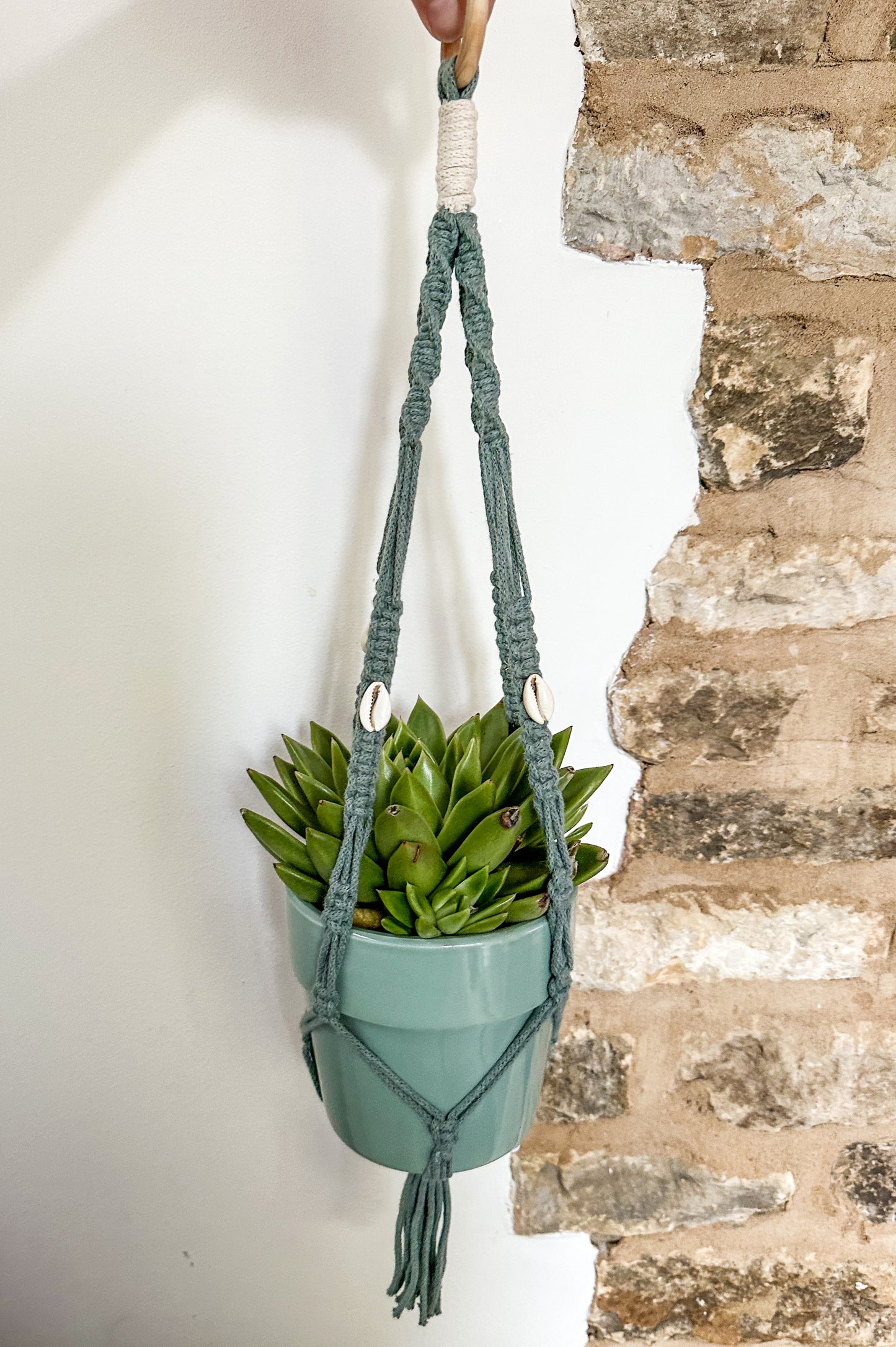 Macrame sea shell plant hanger