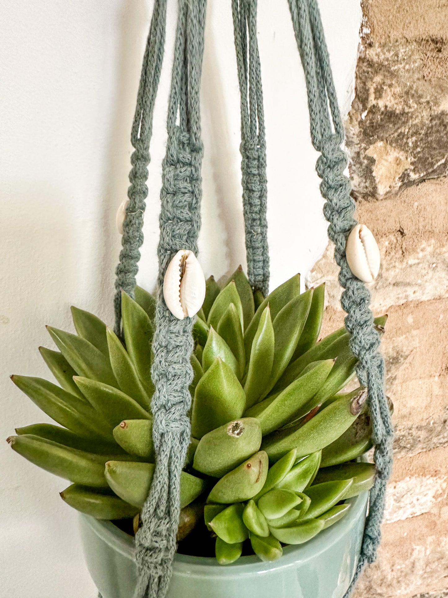 Macrame sea shell plant hanger