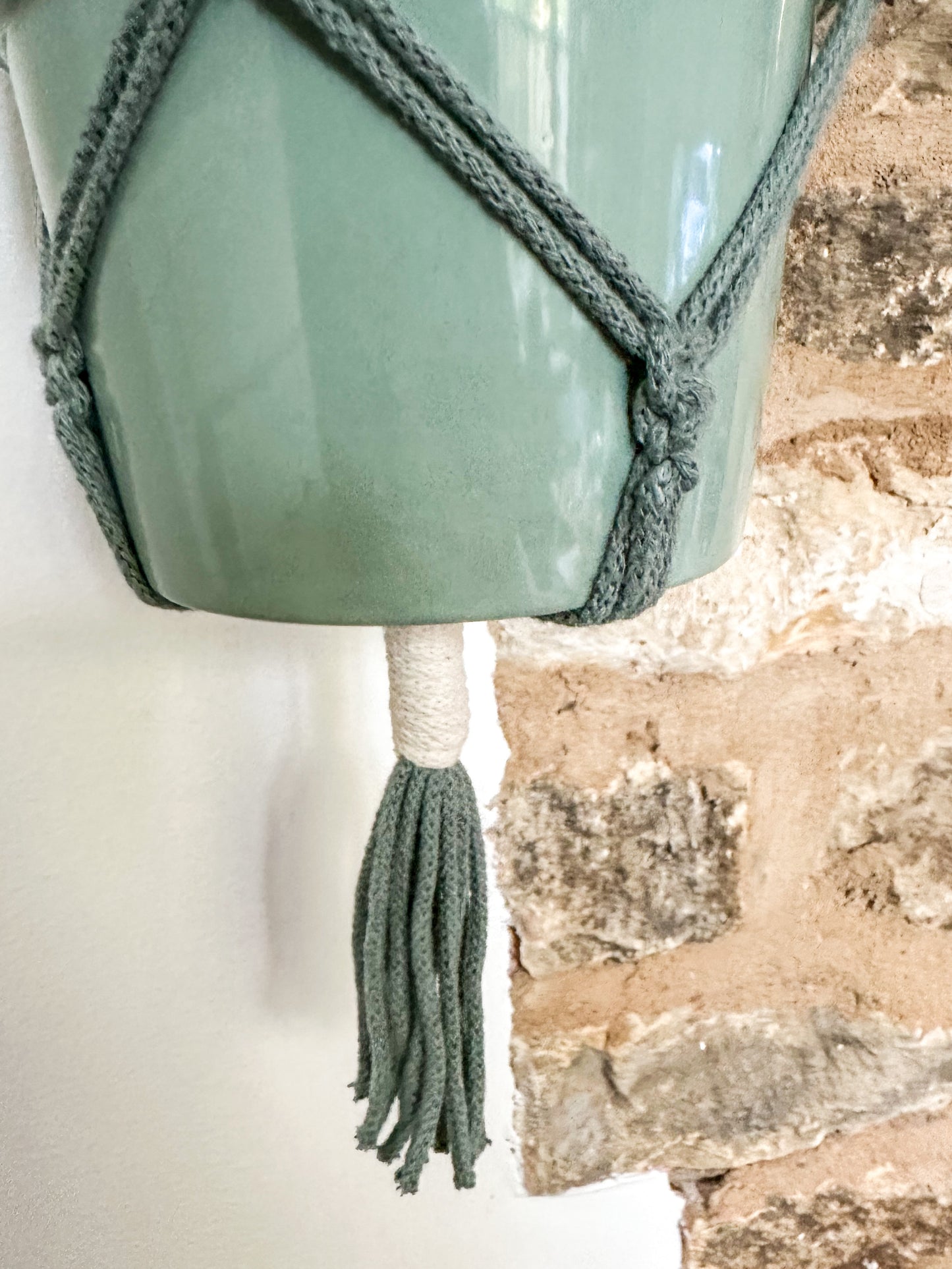 Macrame sea shell plant hanger