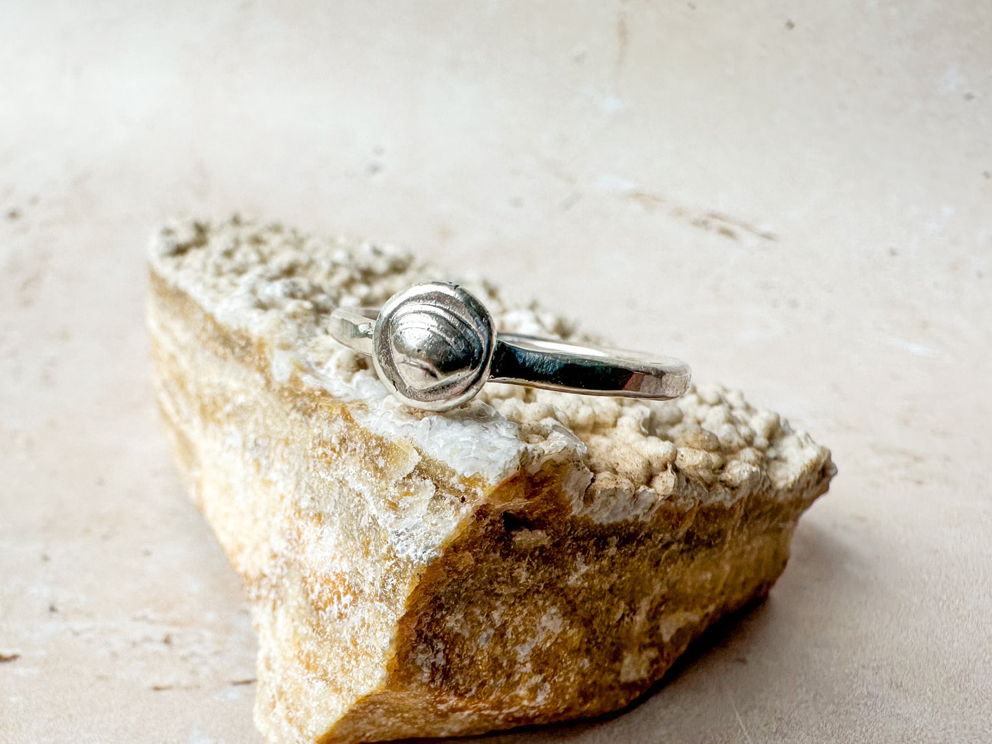 Silver sea shell ring, various sizes
