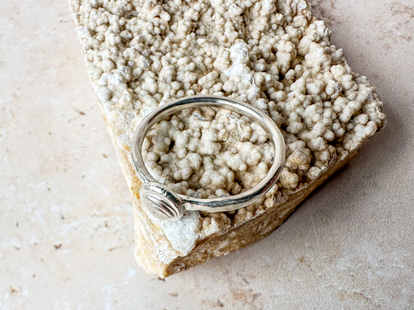 Silver sea shell ring, various sizes