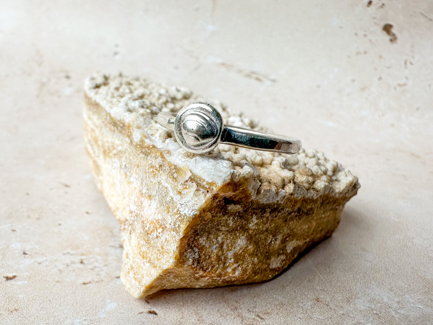 Silver sea shell ring, various sizes