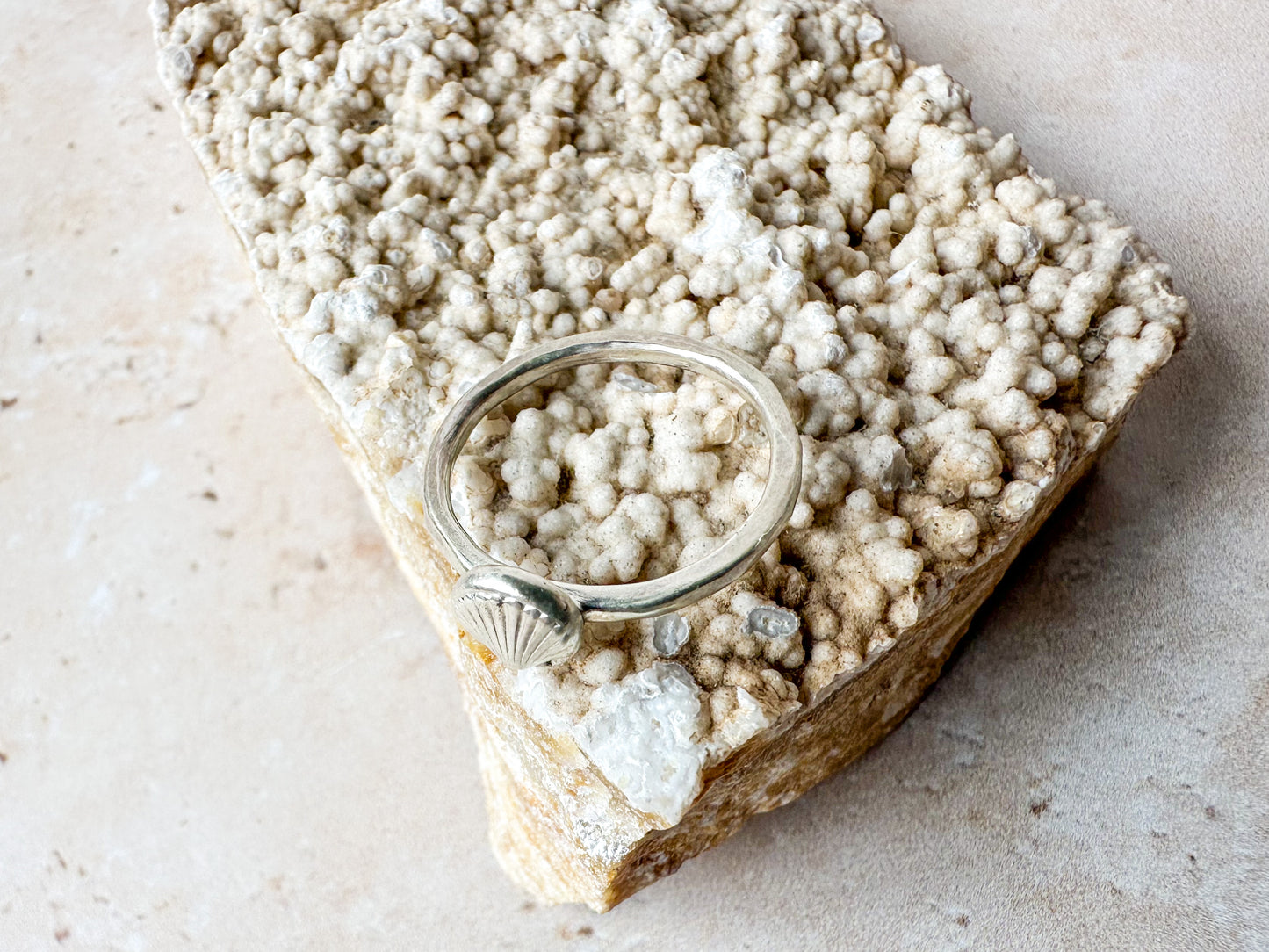 Silver sea shell ring, various sizes